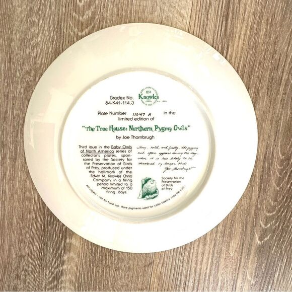 Knowles Co Northern Pygmy owls decorative plate - Picture 6 of 7